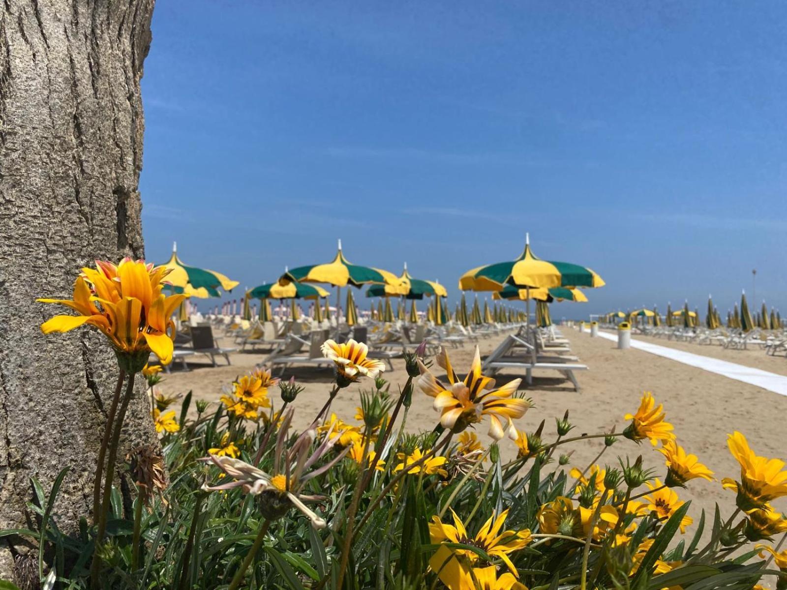 Rimini Bay Suites&Residence Eksteriør billede